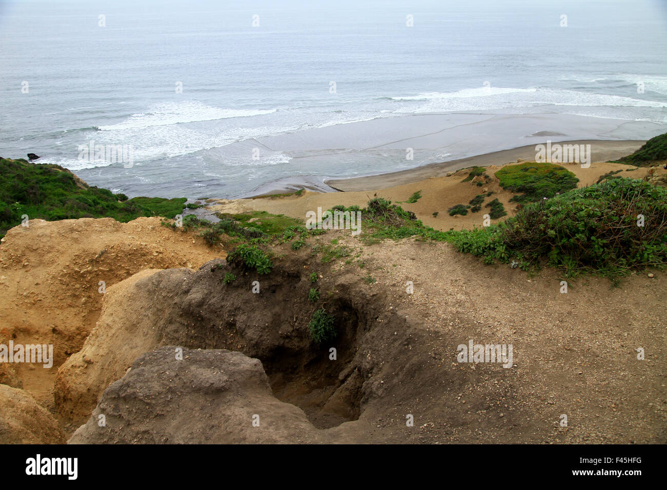 Sendero Cascada Alamere cae en Point Reyes National Seashore en Marin County, California Foto de stock