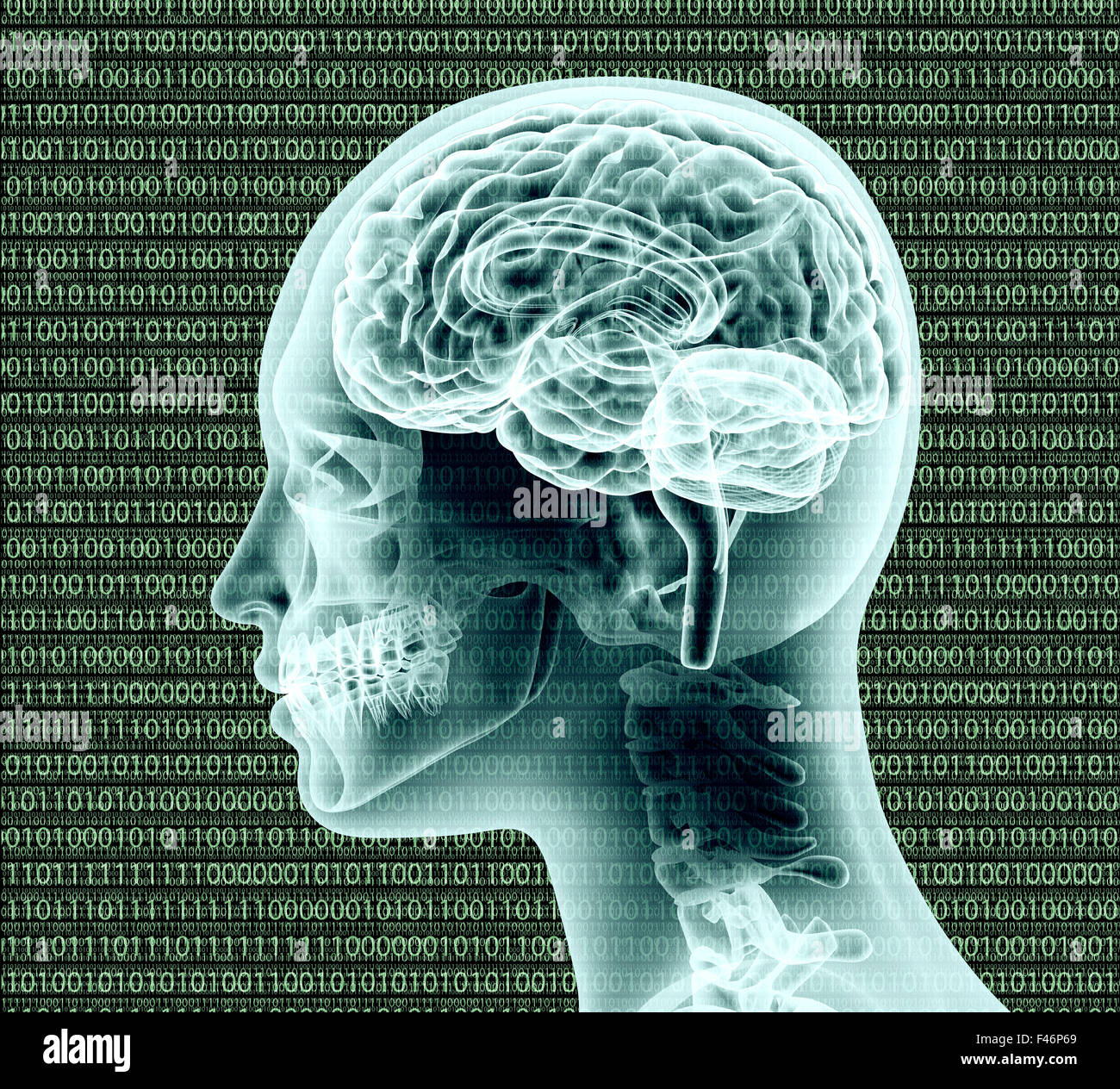 La Imagen De Rayos X De La Cabeza Humana Con Binairy Código Y Un Cerebro Fotografía De Stock Alamy