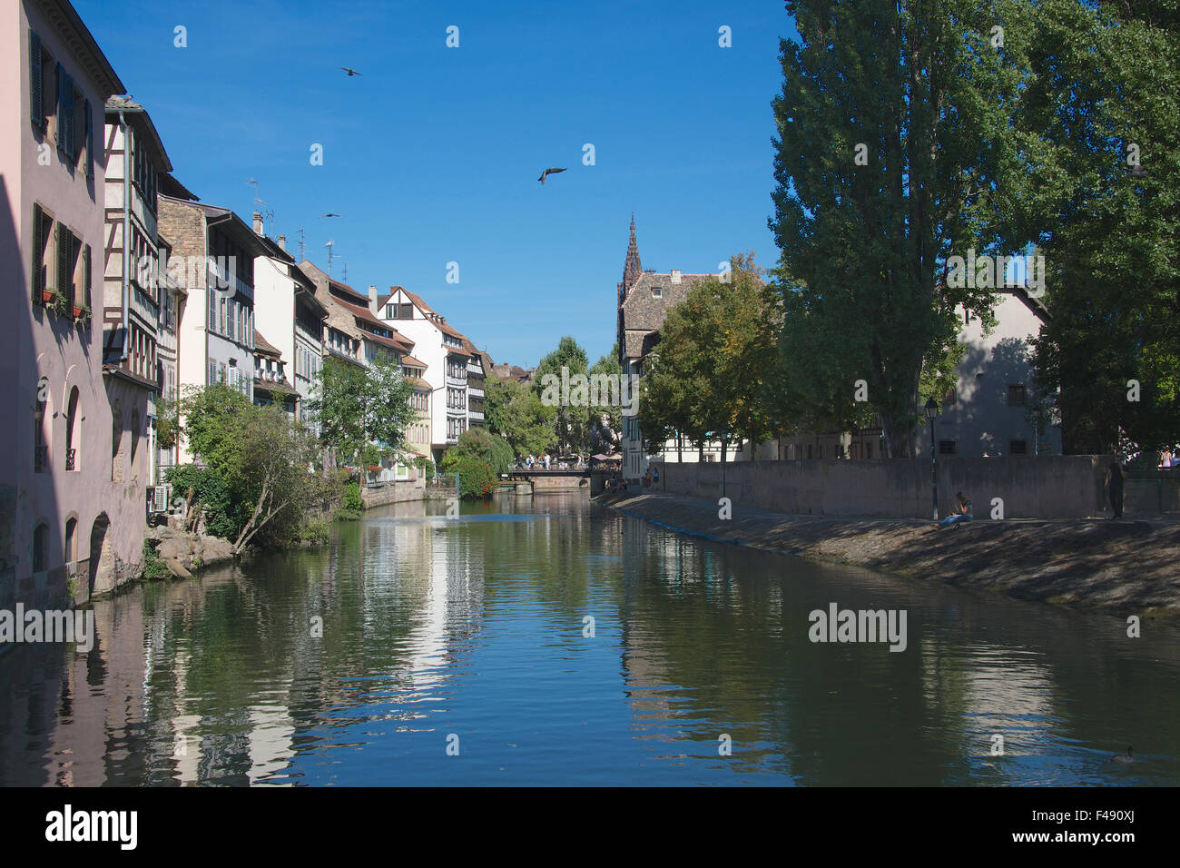 Edificios Riverside del rio Ill, Petite France Alsace Francia Estrasburgo Foto de stock