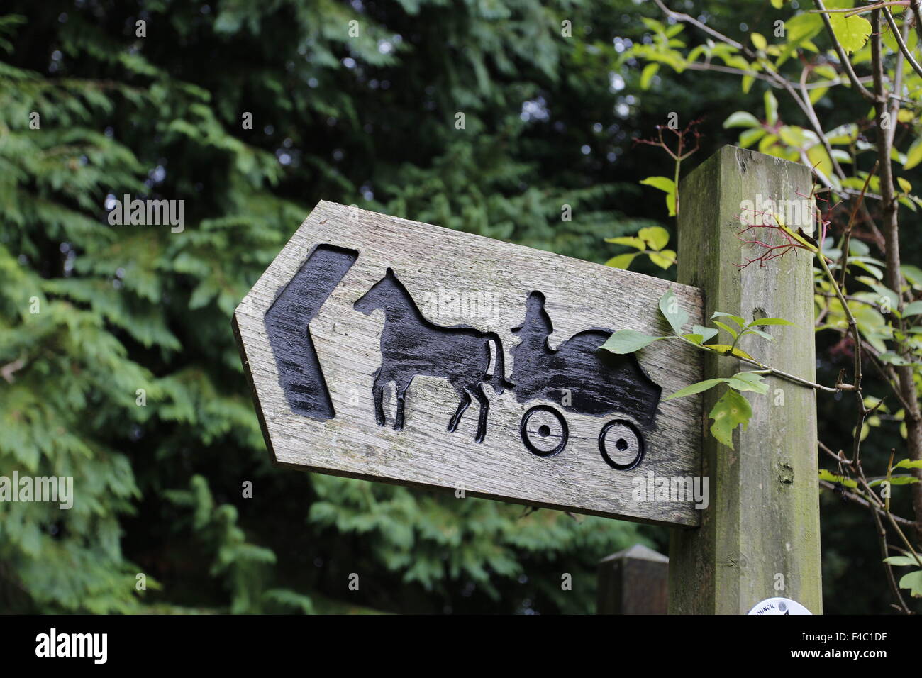 Raro caballo y carro sign on Bridleway, Wye Valley, Monmouthshire Foto de stock