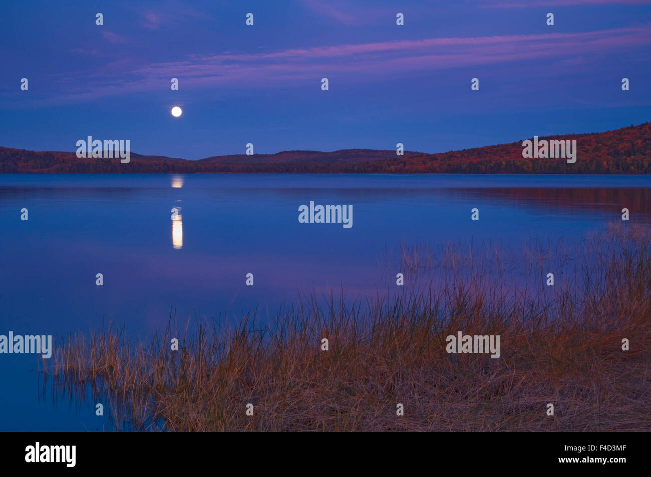 Canadá, Ontario, Algonquin Provincial Park. Luna sobre el lago de Dos Ríos. Crédito: Mike Grandmaison Jaynes / Galería / DanitaDelimont.com Foto de stock