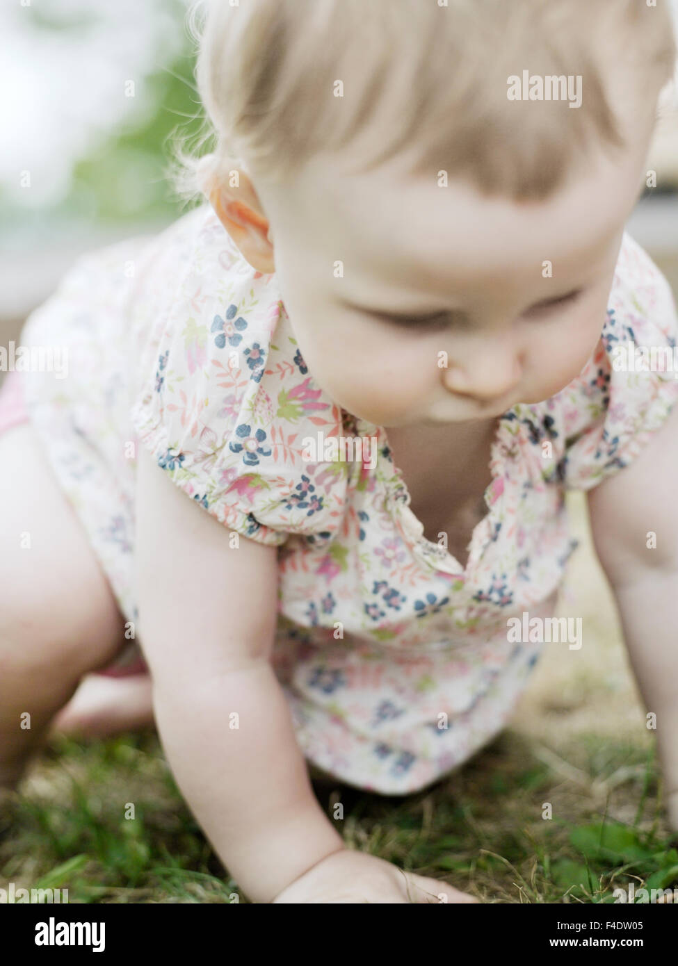 Una niña de rastreo en la hierba. Foto de stock