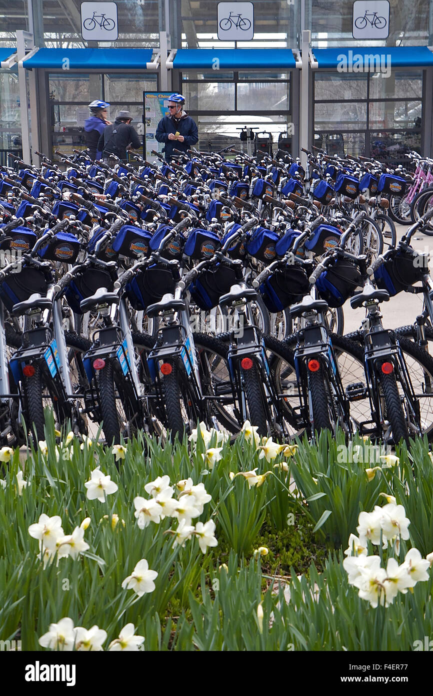 Bicicletas delante de McDonald's Cycle Center, el Millennium Park, Grant Park, Chicago, Illinois