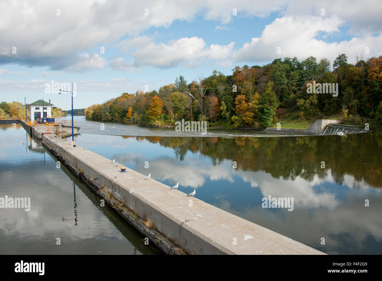 Nueva York, Canal Erie. Canal en Oswego Minetteo, cerca de bloqueo (5). Tamaños disponibles (de gran formato) Foto de stock