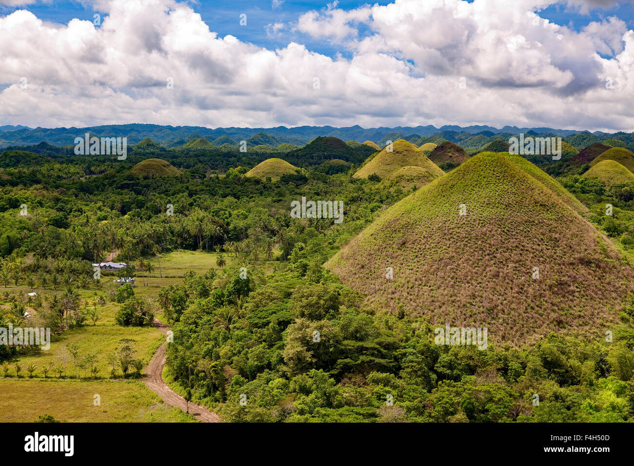 Las Colinas de Chocolate de Bohol, Filipinas Isla sumaban unos 1.176 están cubiertas de pastos y caliza karst formatos geológico. Foto de stock