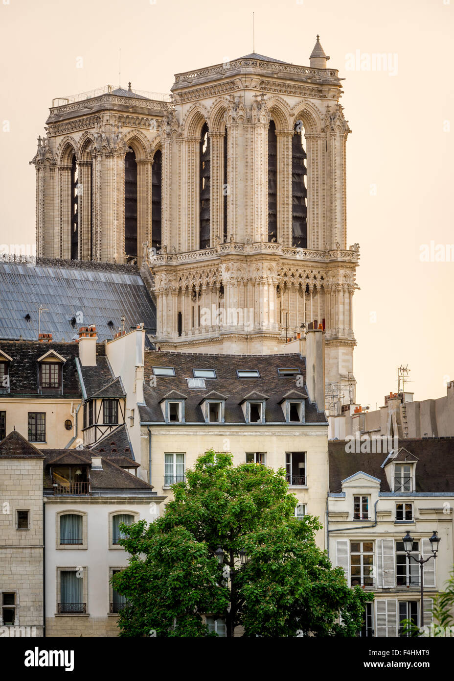 Notre Dame de Paris Torres y Ile de la Cite, temprano en la mañana, la luz del verano, 4th arrondissement de París, Francia Foto de stock