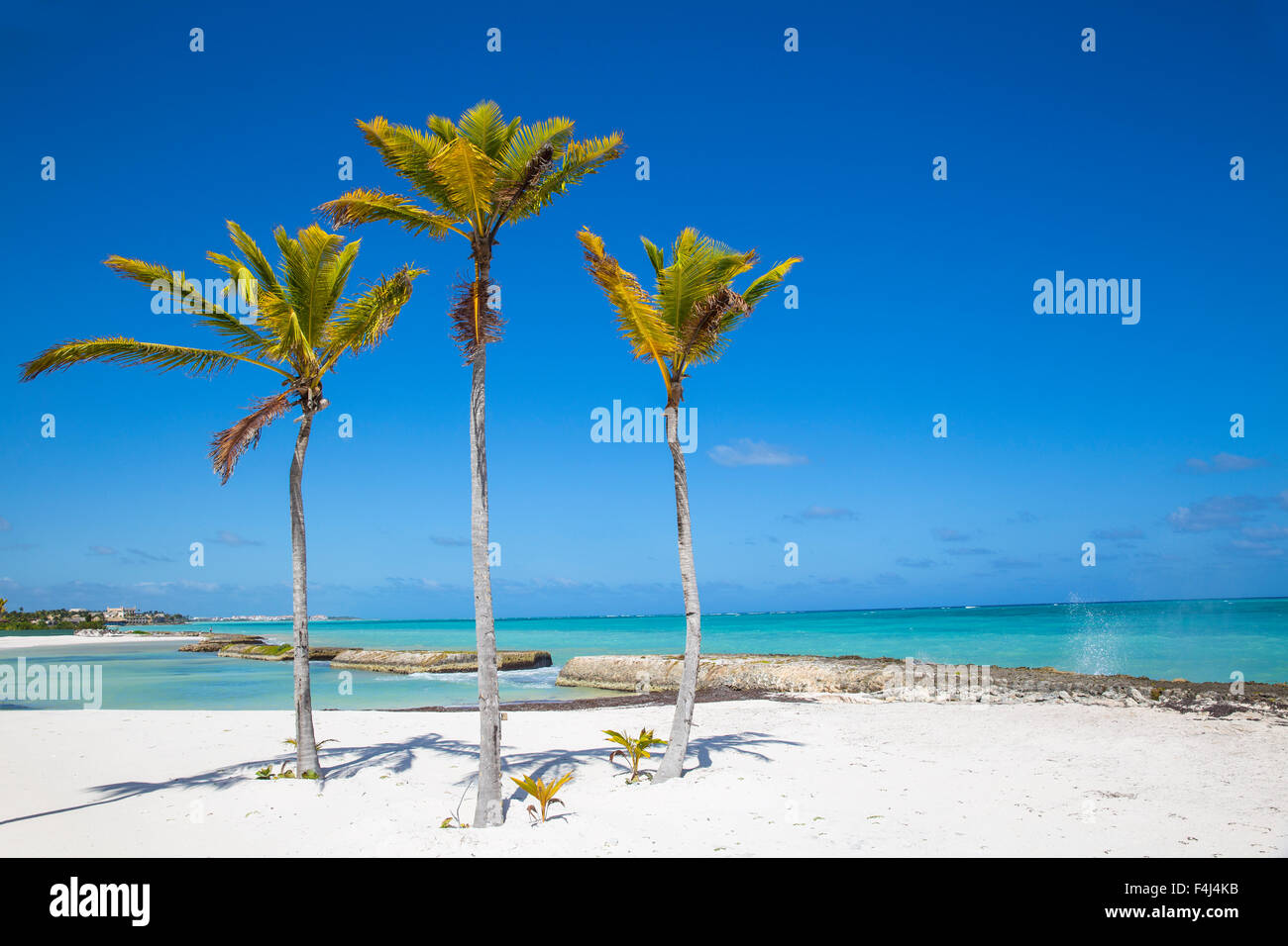 También en la playa del Mar resort, Punta Cana, República Dominicana, Antillas, Caribe, América Central Foto de stock