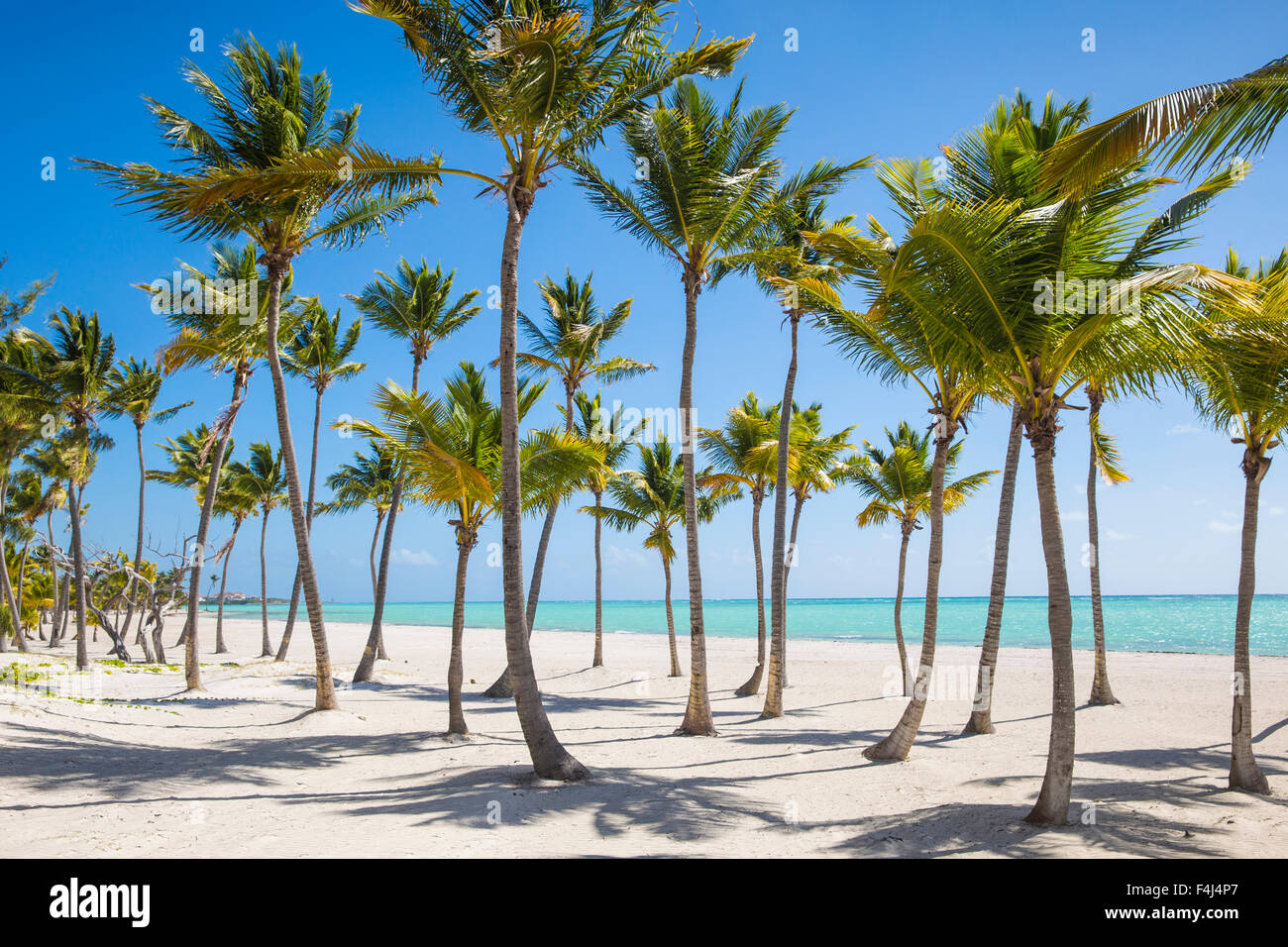 Playa Juanillo, Cap Cana, Punta Cana, República Dominicana, Antillas, Caribe, América Central Foto de stock