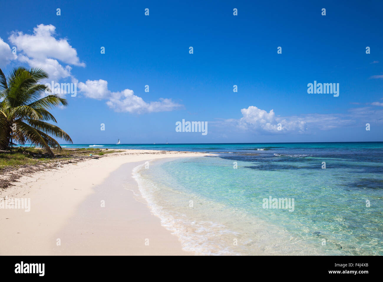 Playa Catuano, Isla Saona, Parque Nacional del Este, Punta Cana, República Dominicana, Antillas, Caribe, América Central Foto de stock