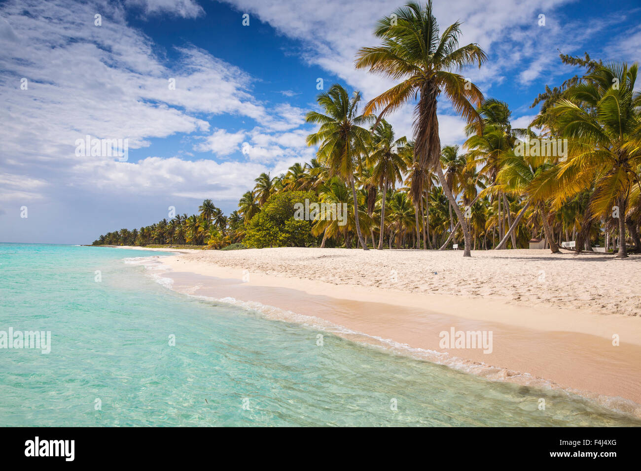 Canto de la playa, Isla Saona, Parque Nacional del Este, Punta Cana, República Dominicana, Antillas, Caribe Foto de stock