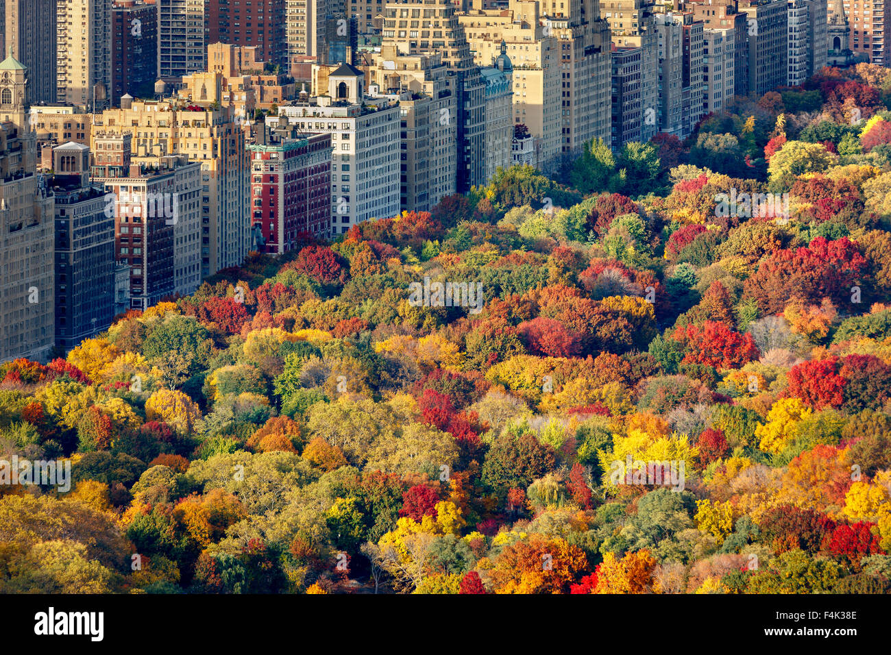 Vista aérea de brillantes colores de otoño de Central Park West follaje en las últimas horas de la tarde. El Upper West Side, Manhattan, Ciudad de Nueva York Foto de stock