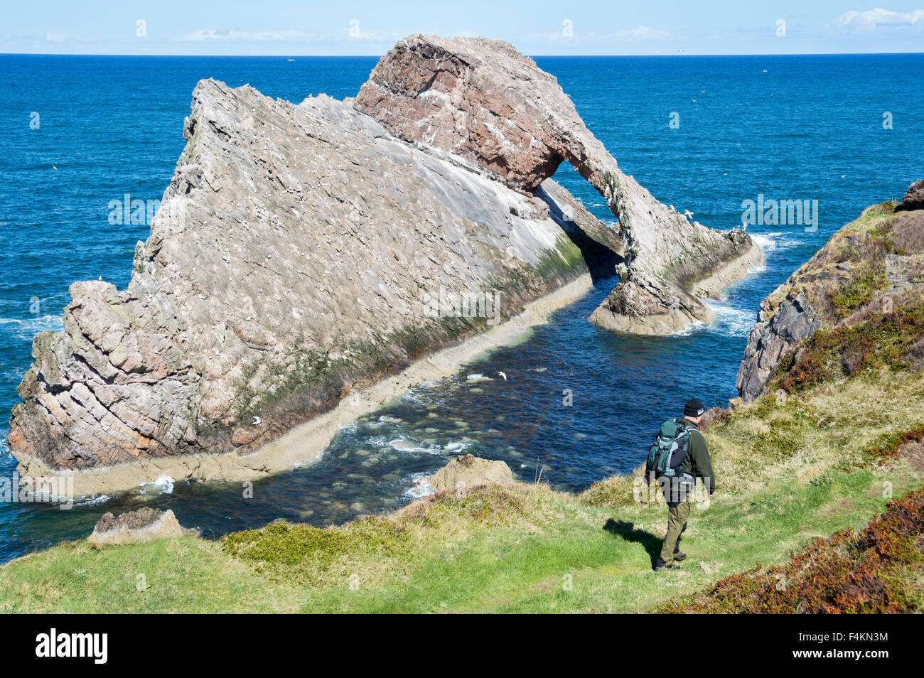 Portknockie, arcos de violín, Rock Bay, Moray Firth, Highland, Escocia. Foto de stock