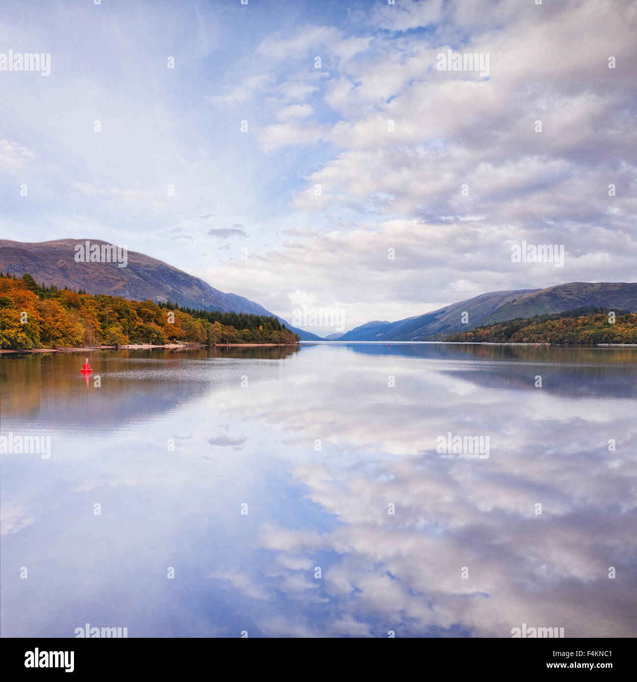 Otoño, Loch Lochy, Highland, Escocia. UK Foto de stock