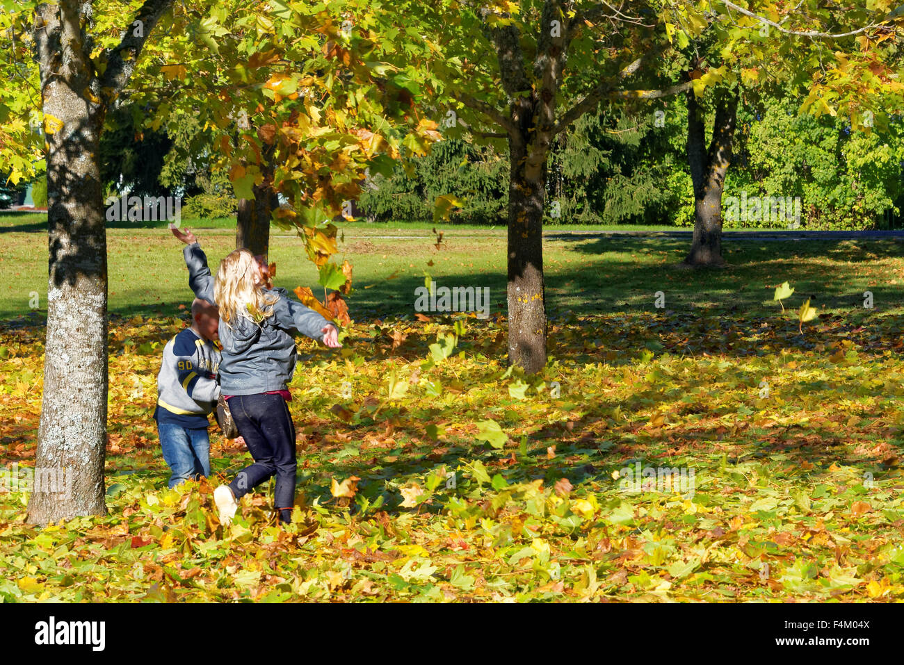 Niños jugando con coloridas hojas de arce caído a tierra en octubre. Foto de stock