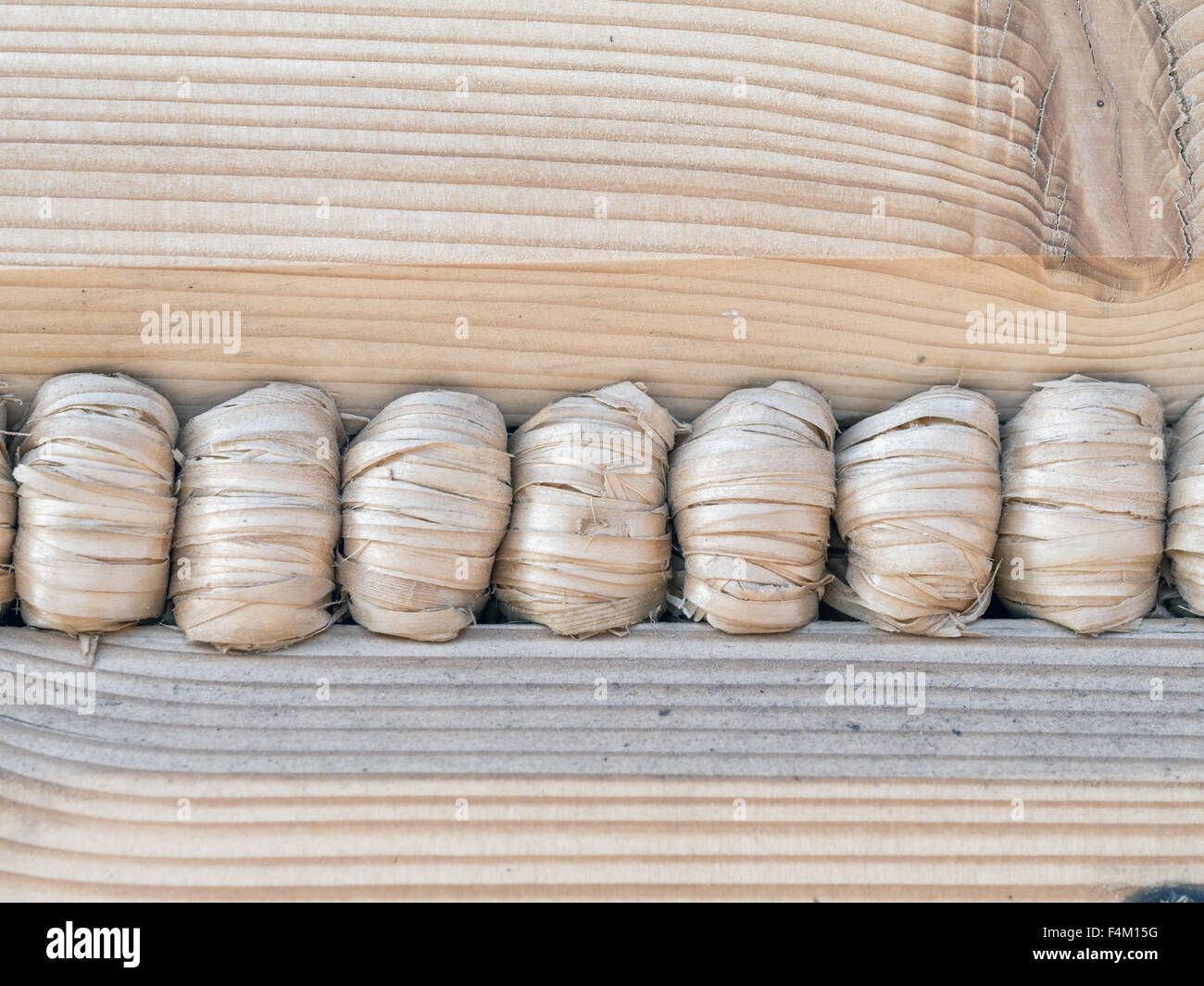 Primer plano de una cabaña de madera pared con cuerda de cáñamo adherente Foto de stock