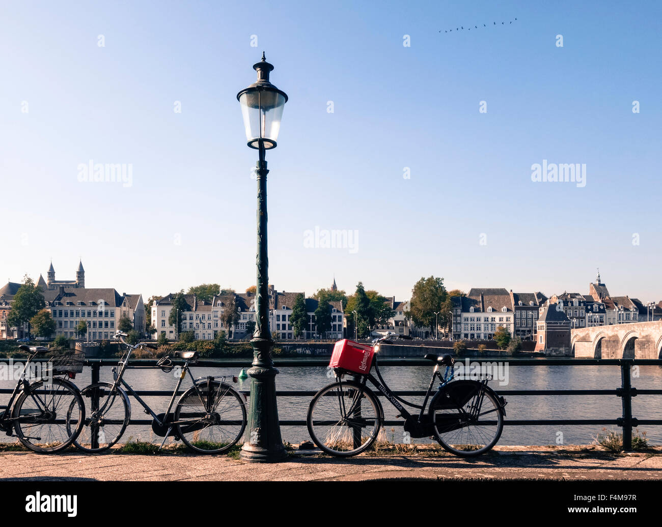 Bicicletas encadenadas a valla delante del río Maas, escena holandesa, Maastricht, Limburg, Holanda. Foto de stock