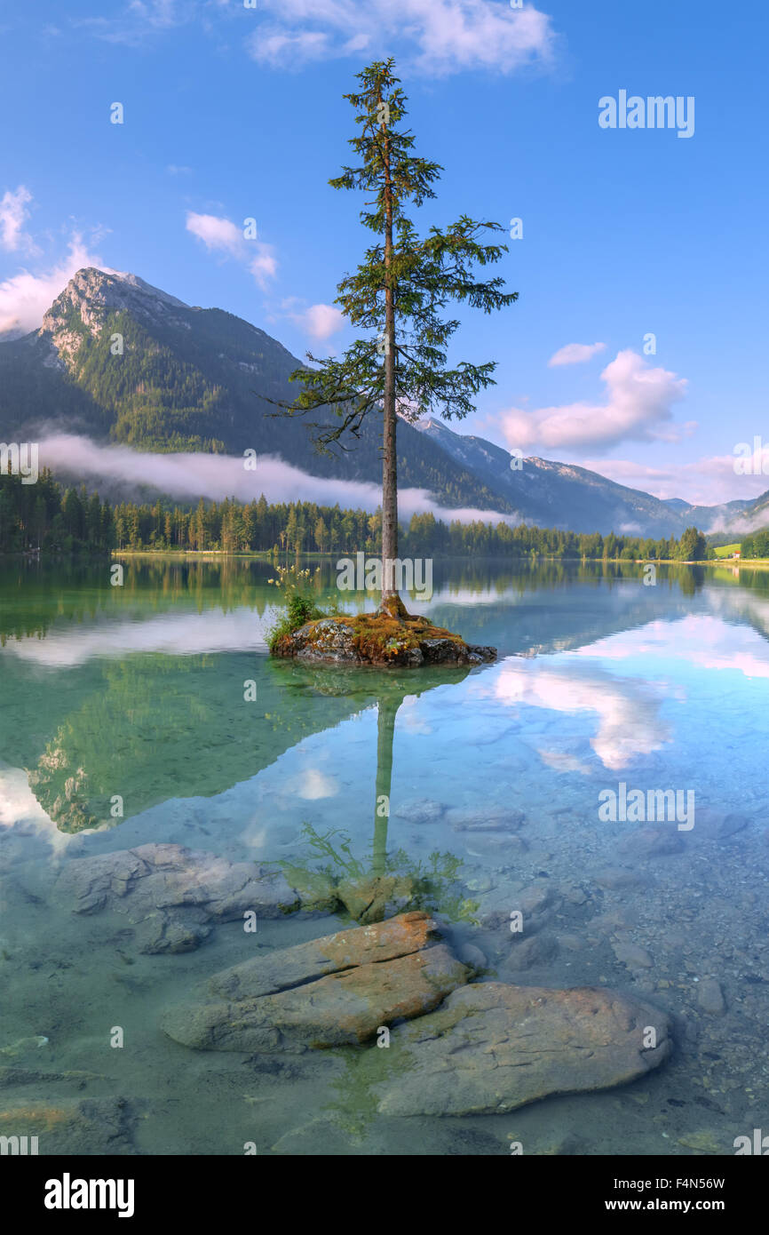 Increíble día soleado de verano en el lago Hintersee en Alpes Austríacos, Europa. Foto de stock