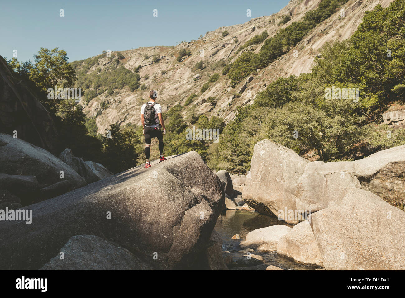 España, Galicia, A Capela, Ultra Trail Runner en el cañón del río Eume Foto de stock