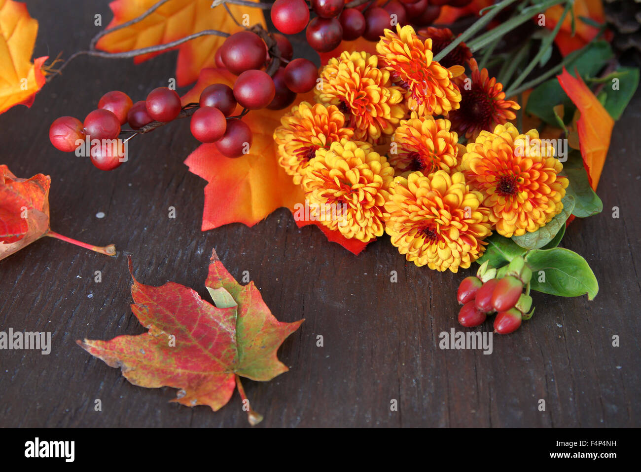 Flores de otoño fotografías e imágenes de alta resolución - Alamy Flores de otoño fotografías e imágenes de alta resolución - Alamy