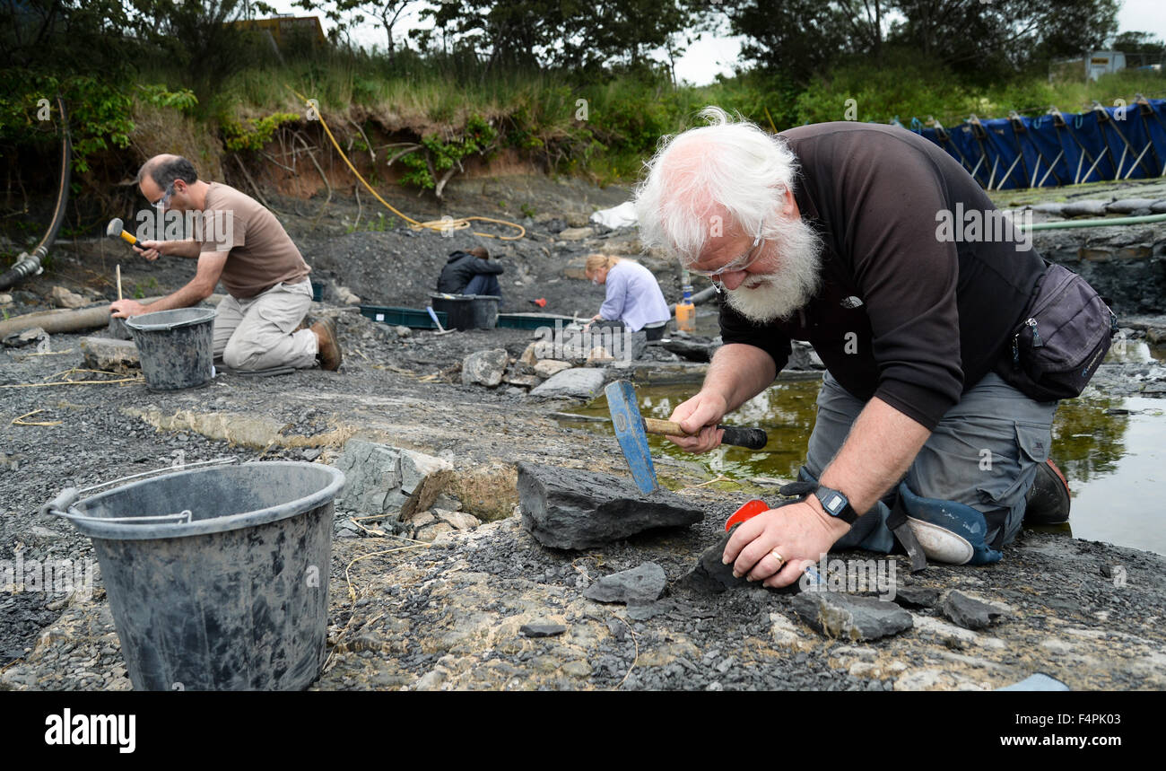 Los paleontólogos estudian concluye en el lecho del río Whiteadder en la frontera escocesa. Foto de stock