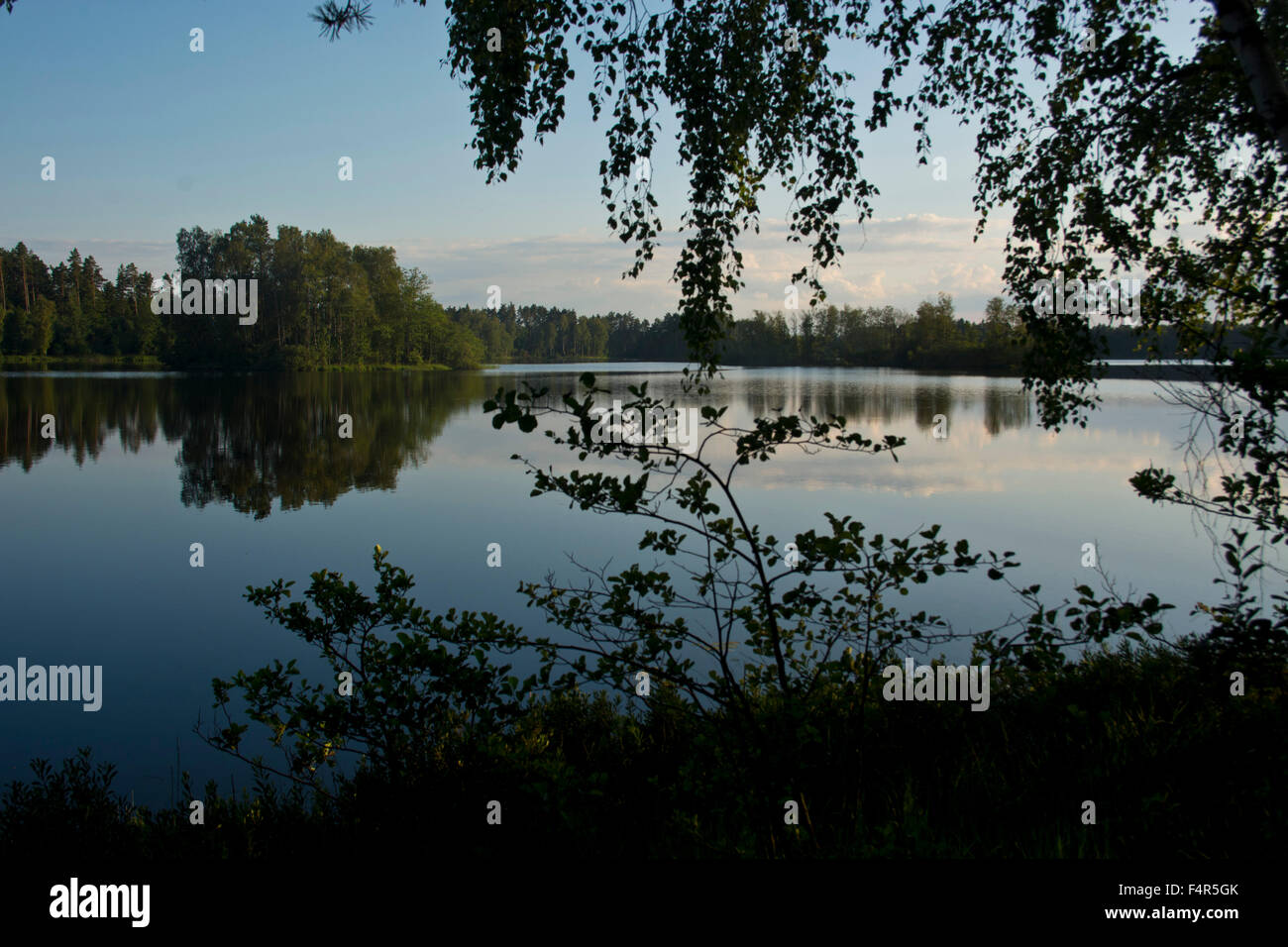 Suecia, Europa, Smaland, Markaryd, Almacenar Sjö, Lago, orilla, árboles, verano, ISLAS Foto de stock