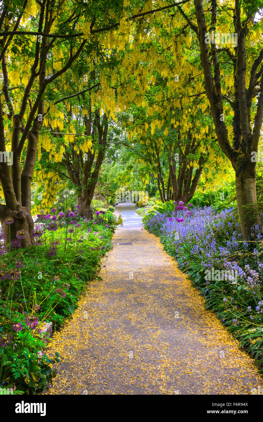 Columbia Británica, Canadá, Vancouver VanDusen, jardín botánico, jardín botánico, el verano, el camino Foto de stock