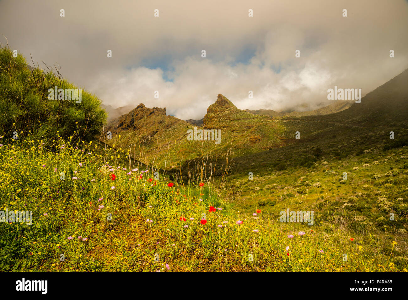 Fuera, montaña, montañas, paisajes de montaña, Canarias, Europa, Montañas, Islas Canarias, islas Canarias, naturaleza, nadie, viajes Foto de stock