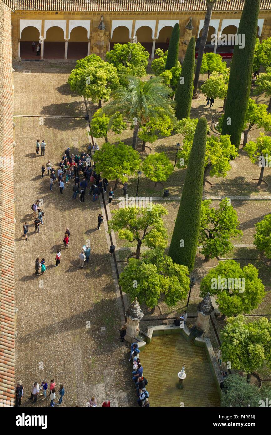 Patio de los Naranjos, el Orange Tree Garden, desde el Campanario, Mezquita, Córdoba, Andalucía, España. Foto de stock