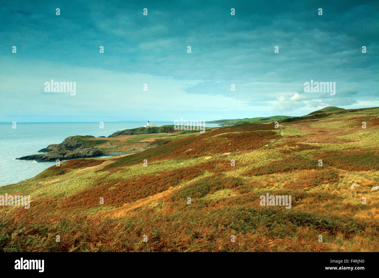 Faro Killantringan procedentes del sur del camino de montaña cerca de Portpatrick, Dumfries y Galloway Foto de stock