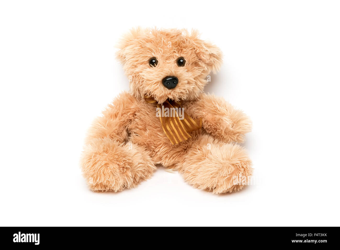 Teddy bear aislado sobre fondo blanco. Foto de stock