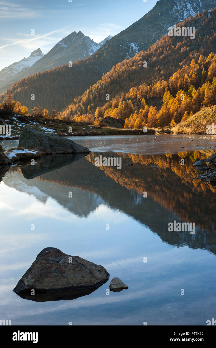 Lago básicos, Suiza, cantón Valais Lötschental, Mountain Lake, Lago, reflexión, otoño, alerces Foto de stock