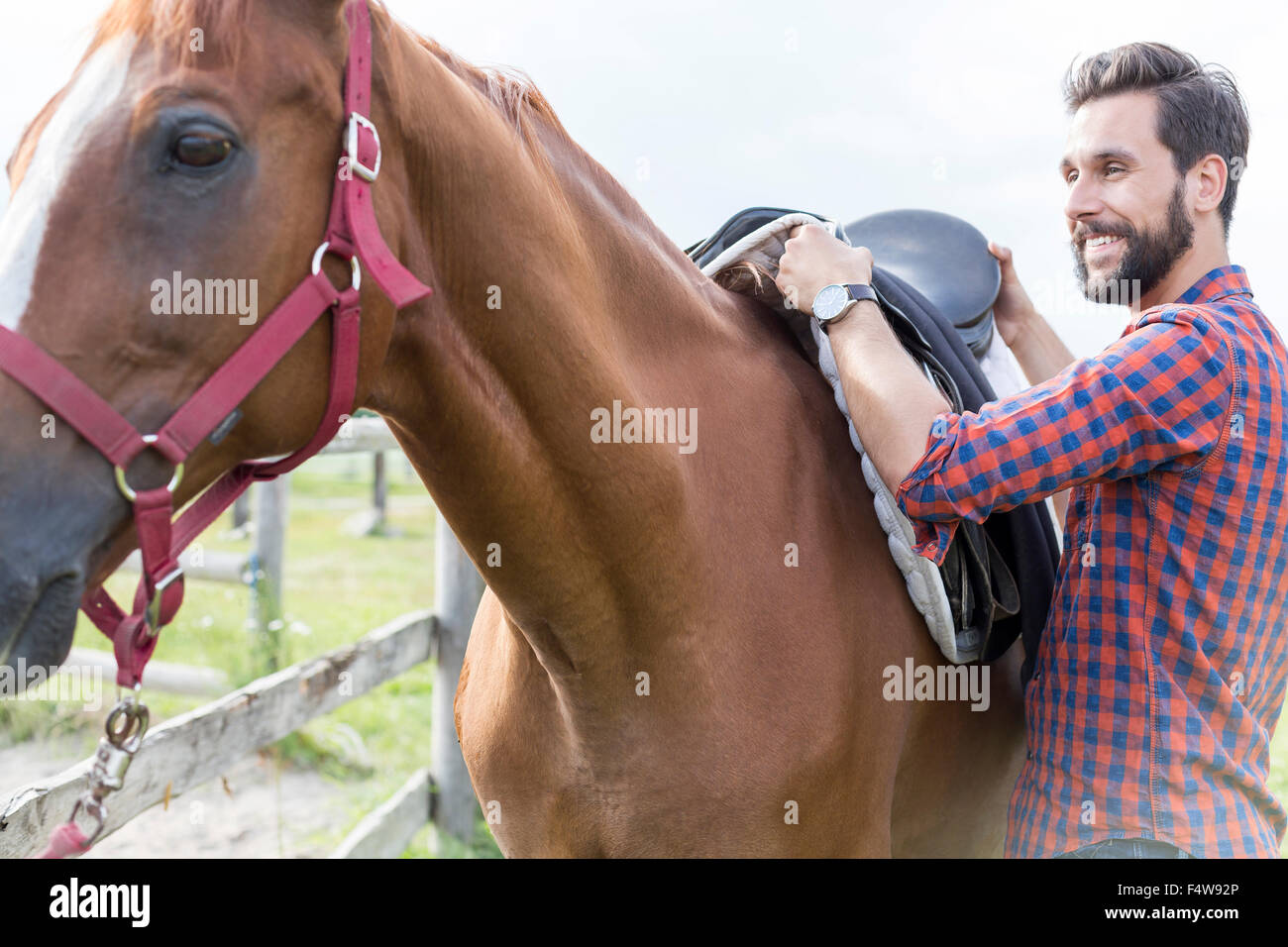Hombre sonriente quitando la montura del caballo Foto de stock
