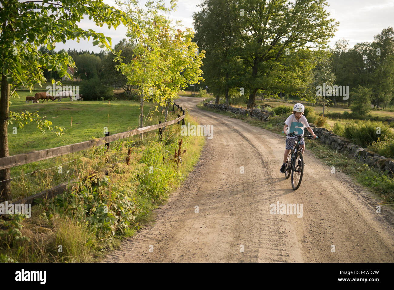 Suecia, Vastergotland, Lerum, Slatthult, Boy (10-11) en bicicleta al aire libre Foto de stock