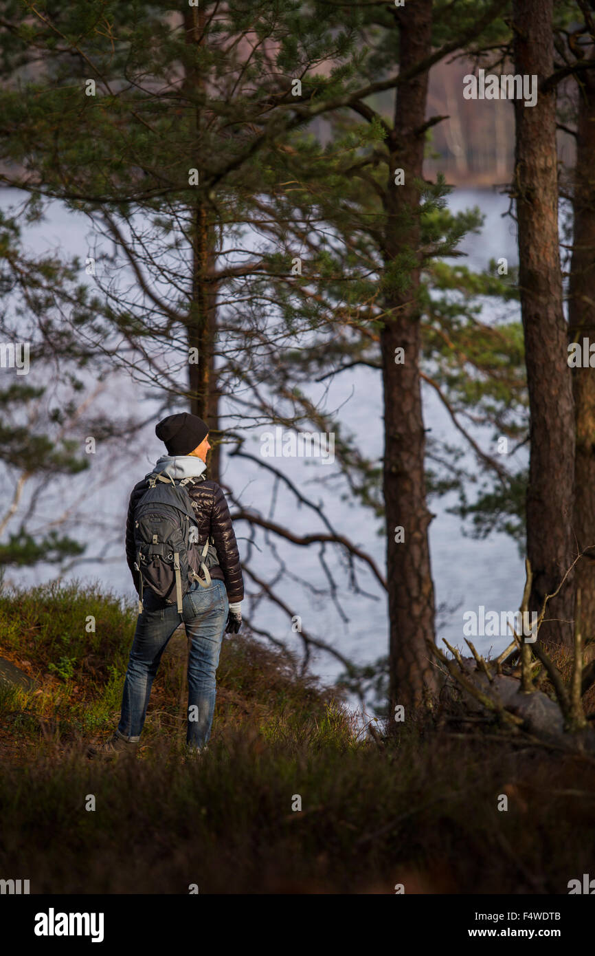 Suecia, Vastergotland, Harskogen, Stora Harsjon, Mujer caminatas por el lago Foto de stock