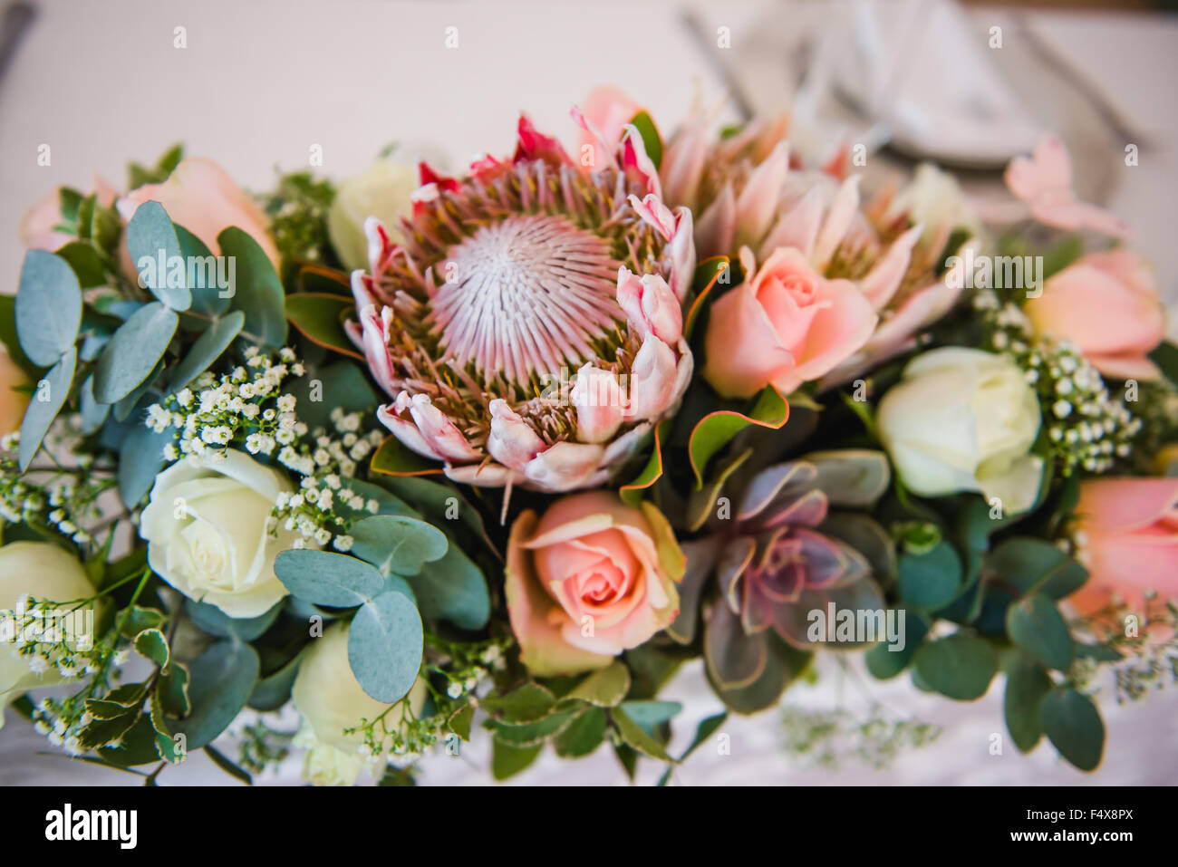 Protea Ramo de flores Foto de stock