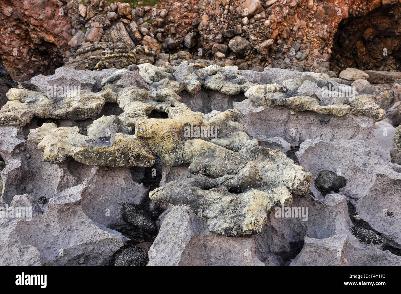 Interesantes rocas en la playa de bahía Bullslaughter en Pembrokeshire (Gales). Un lugar conocido por su geología. Foto de stock