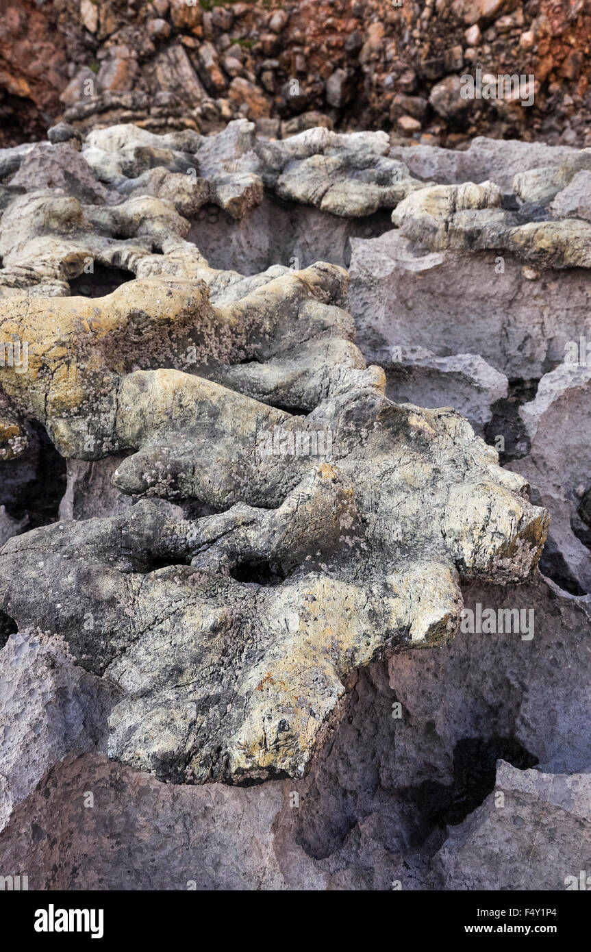Interesantes rocas en la playa de bahía Bullslaughter en Pembrokeshire (Gales). Un lugar conocido por su geología. Foto de stock