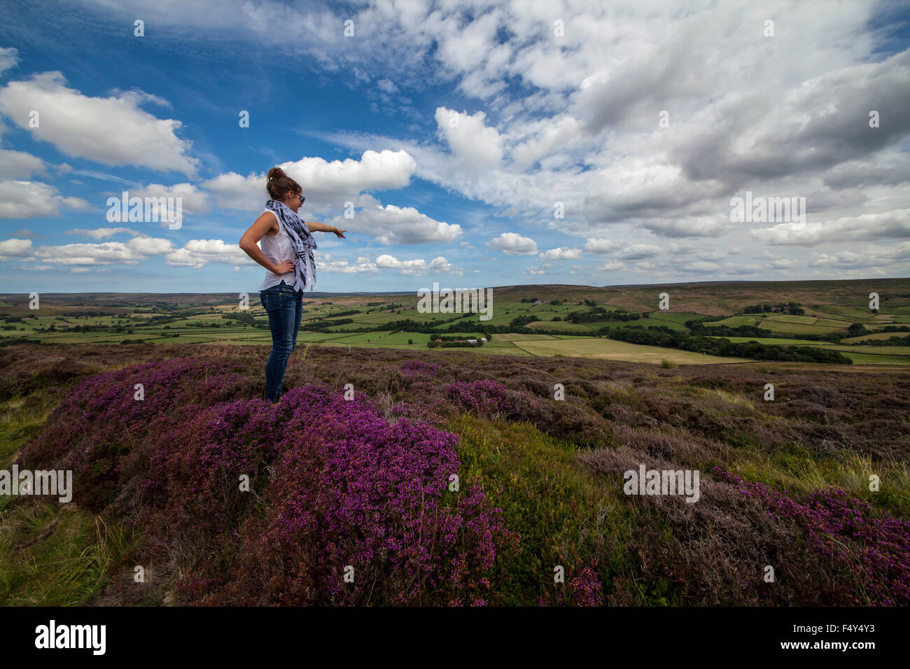 Chica de pie apuntando a lo largo de los valles de Yorkshire con brezo púrpura en el primer plano y el paisaje verde Foto de stock