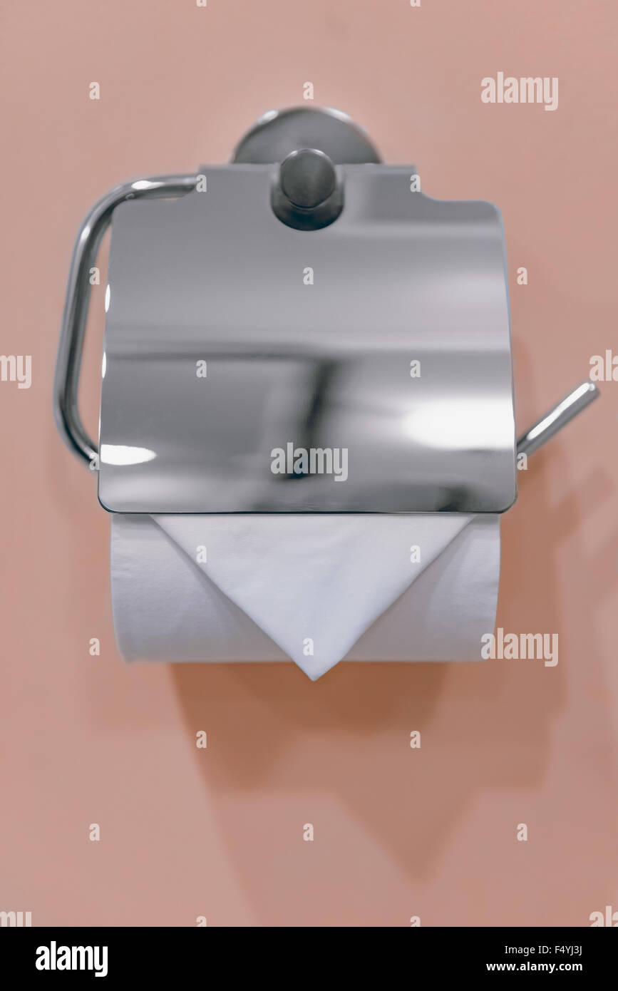 Rollo de papel higiénico blanco único dispensador metálico montado en la  pared Fotografía de stock - Alamy