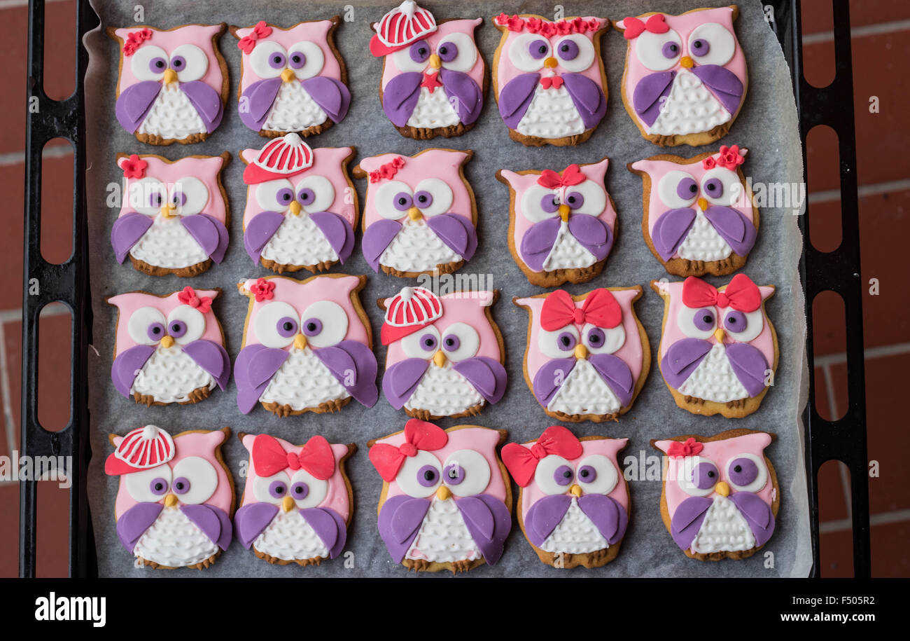 Colorido Owl panadería Foto de stock