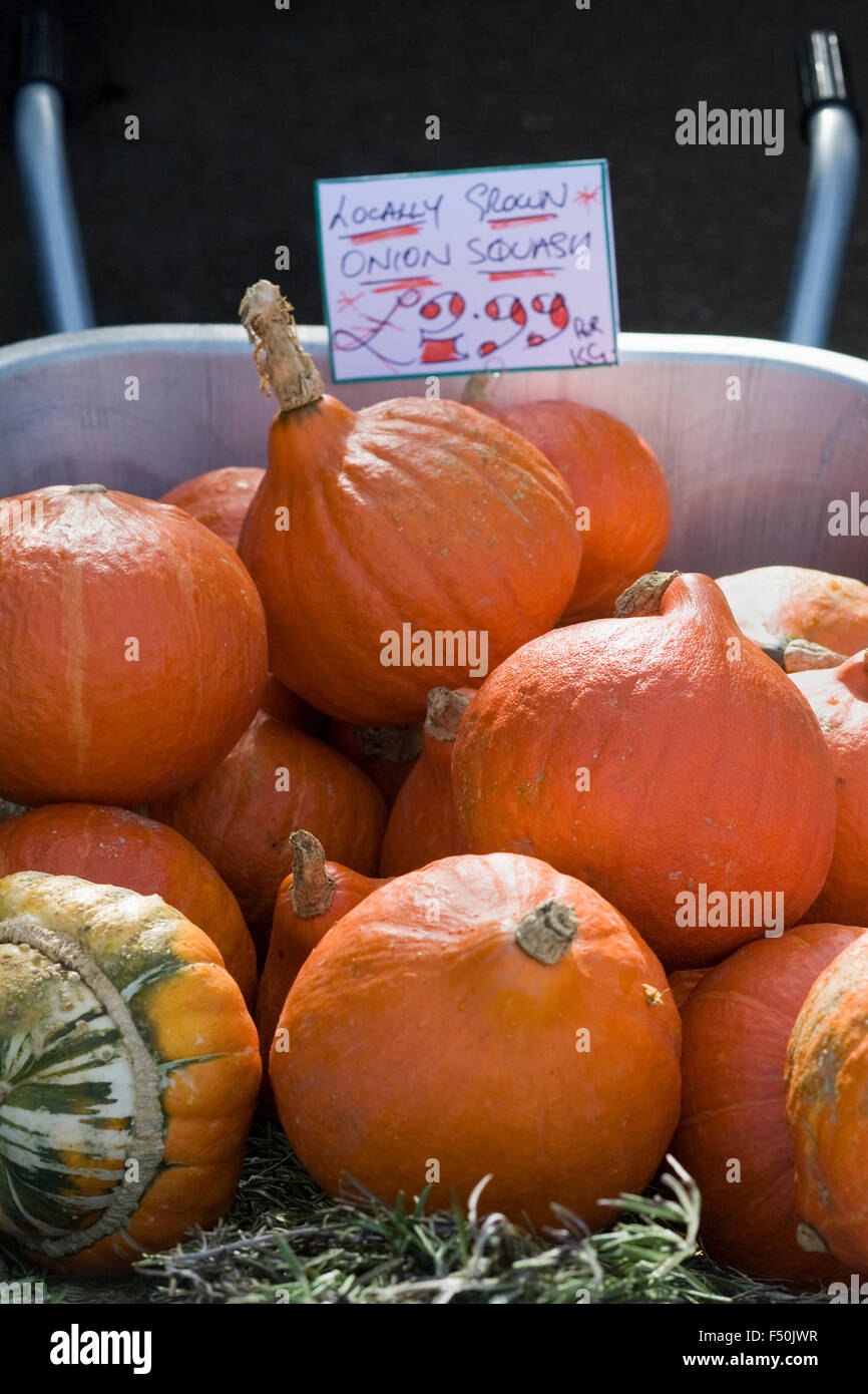Calabaza cebolla a la venta en otoño. Foto de stock