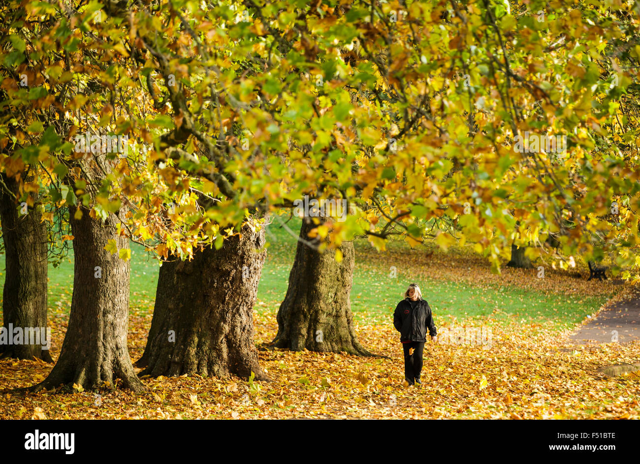 Bristol, Reino Unido. 26 Oct, 2015. La gente hace la mayoría de los climas secos a caminar pasado el Golden árboles en la mañana de otoño de sol en St George's Park, Bristol, 26 de octubre de 2015 Créditos: Adam Gasson/Alamy Live News Foto de stock