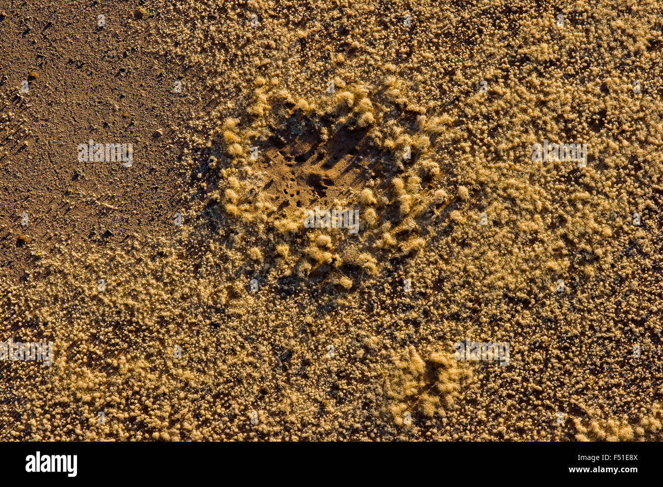 Los anillos de hadas visto desde el aire caliente Baloon, Sesriem, Canyon,  Namibia Fotografía de stock - Alamy
