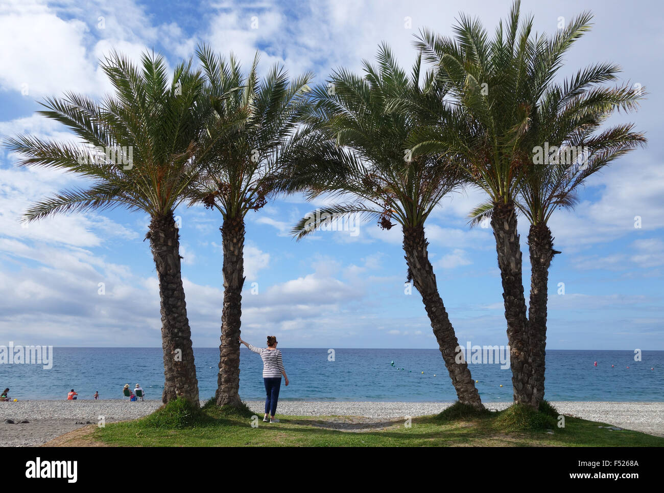 Las palmeras en la playa de La Herradura en la Costa Tropical de Granada España Provence Foto de stock