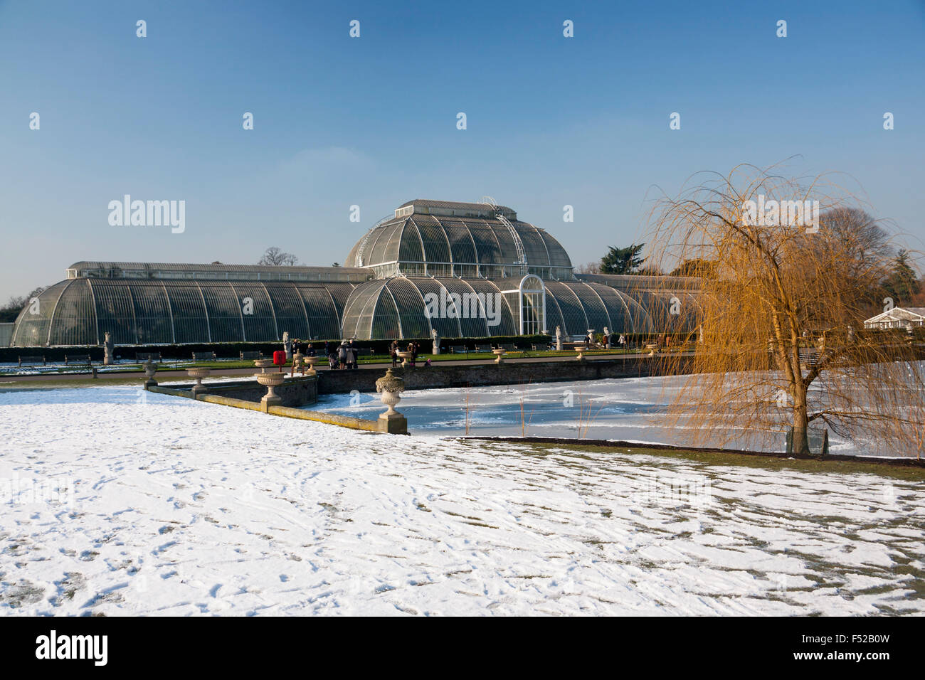 Kew Gardens Palm House en nieve lago congelado en primer plano Londres England Reino Unido Foto de stock