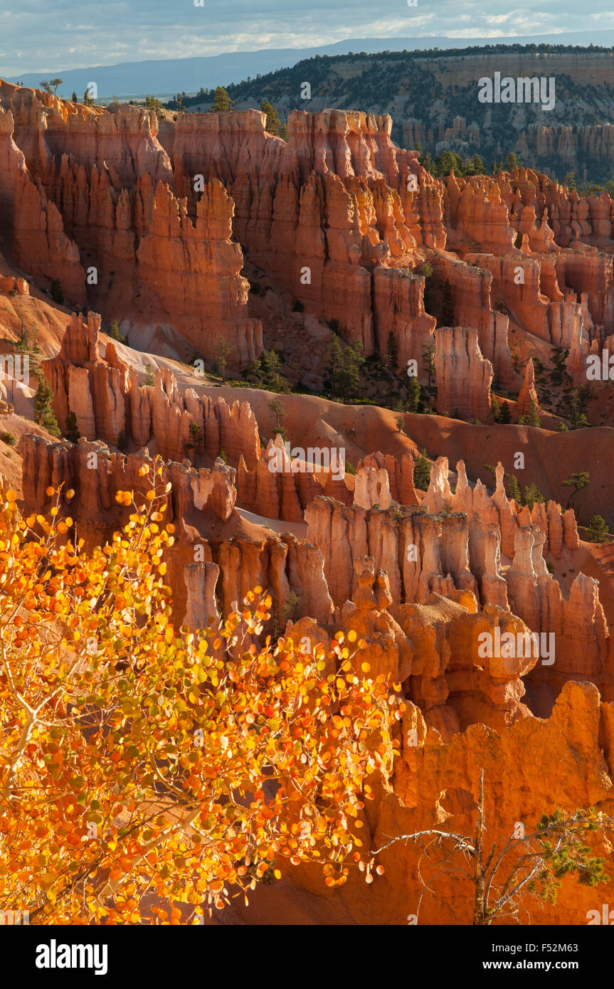 Ver en Navajo Trail, Bryce Canyon, Utah, EE.UU. Foto de stock
