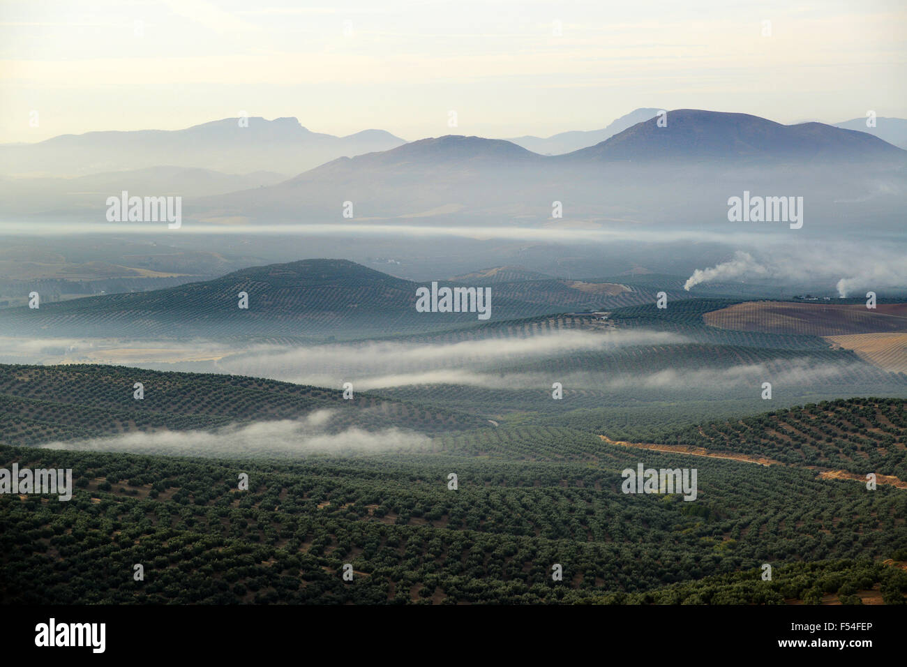 Los olivares y el Parque Natural de Sierra Magina Ubeda en Andalucía España Foto de stock