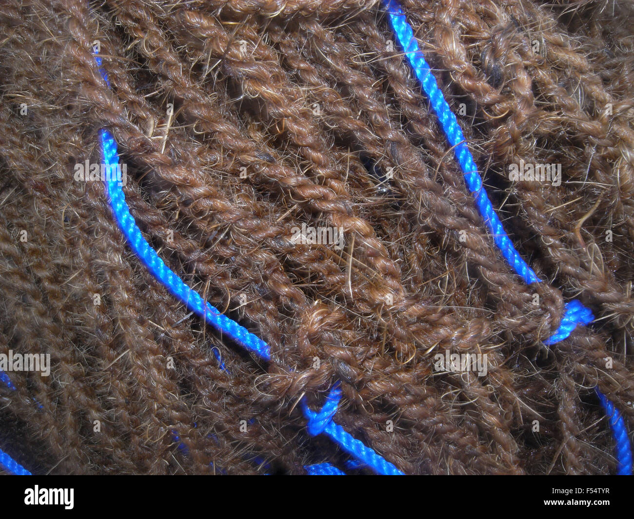 Redes de pesca tradicional (biodegradables) fibra de coco (en lugar de nylon moderno de plástico), Galle, Sri Lanka Foto de stock