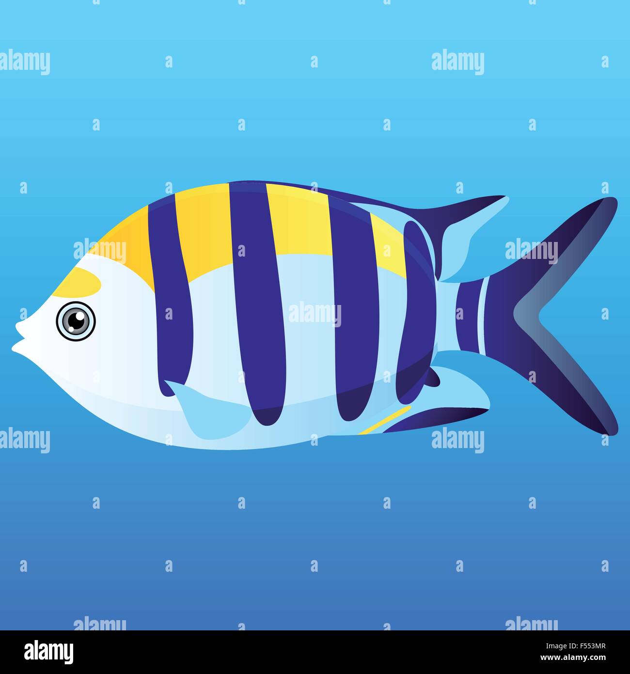 Una ilustración vectorial de un amarillo, azul y blanco del Indopacífico pez seargent sobre fondo azul. Ilustración del Vector
