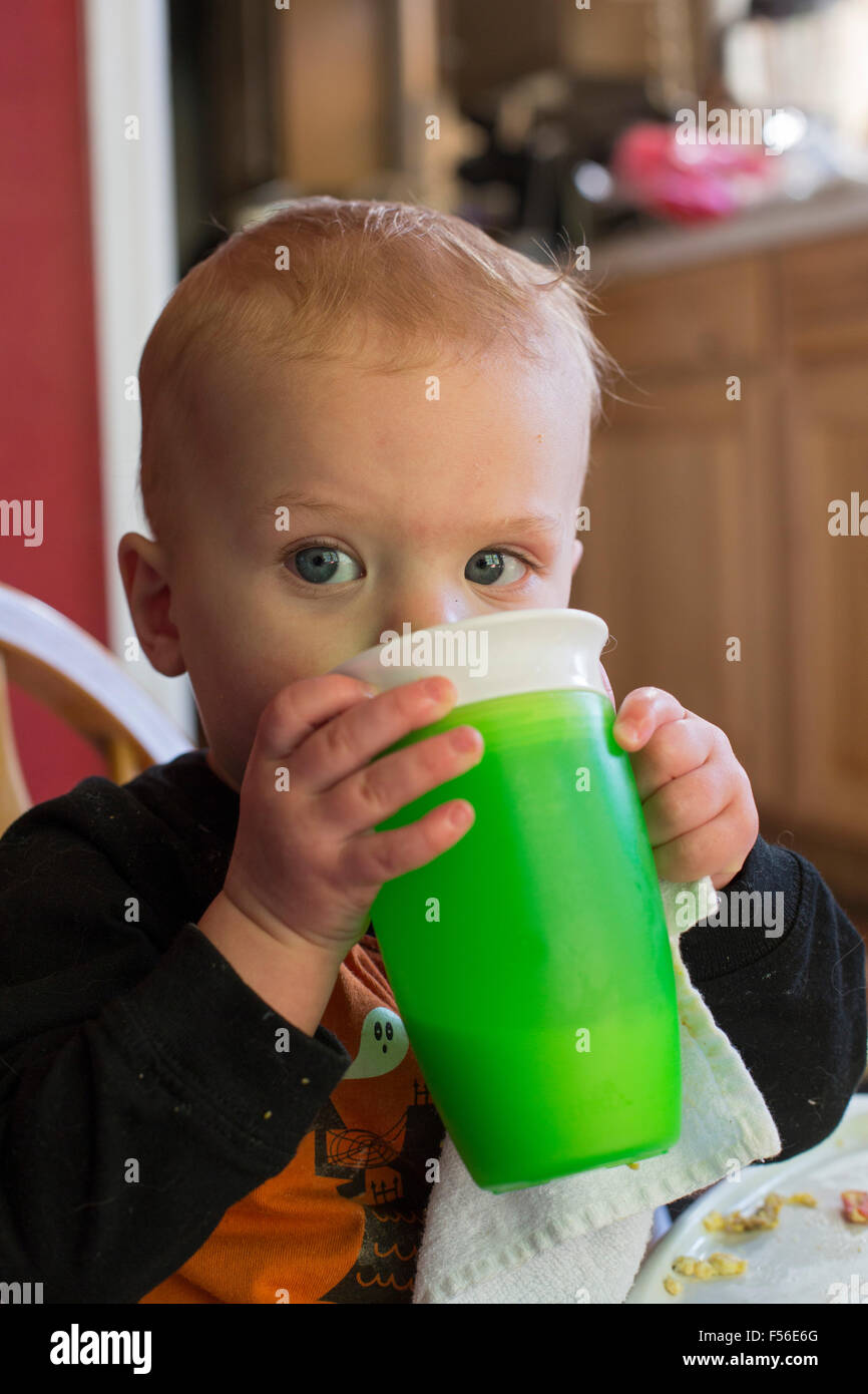 Trigo Ridge, Colorado - Adam Hjermstad Jr., de 15 meses de edad, bebe leche. Foto de stock